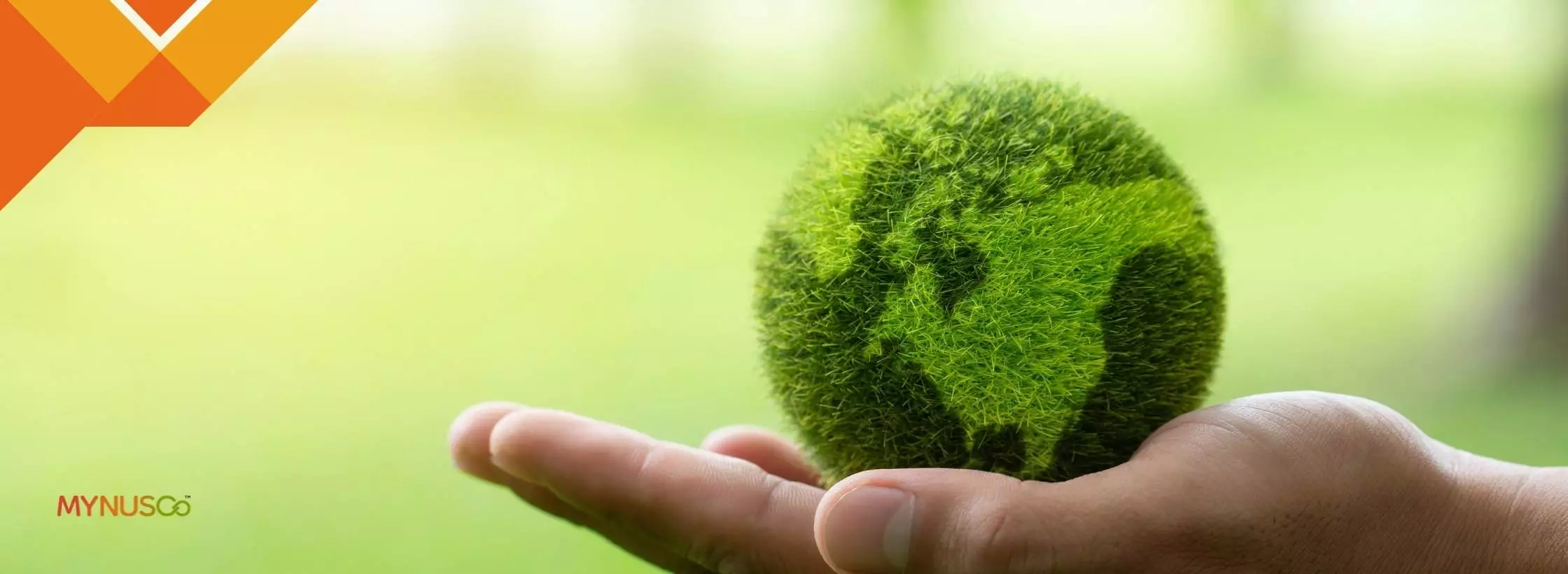 Earth Day 2022 Why businesses need to embrace sustainability and prioritise the planet